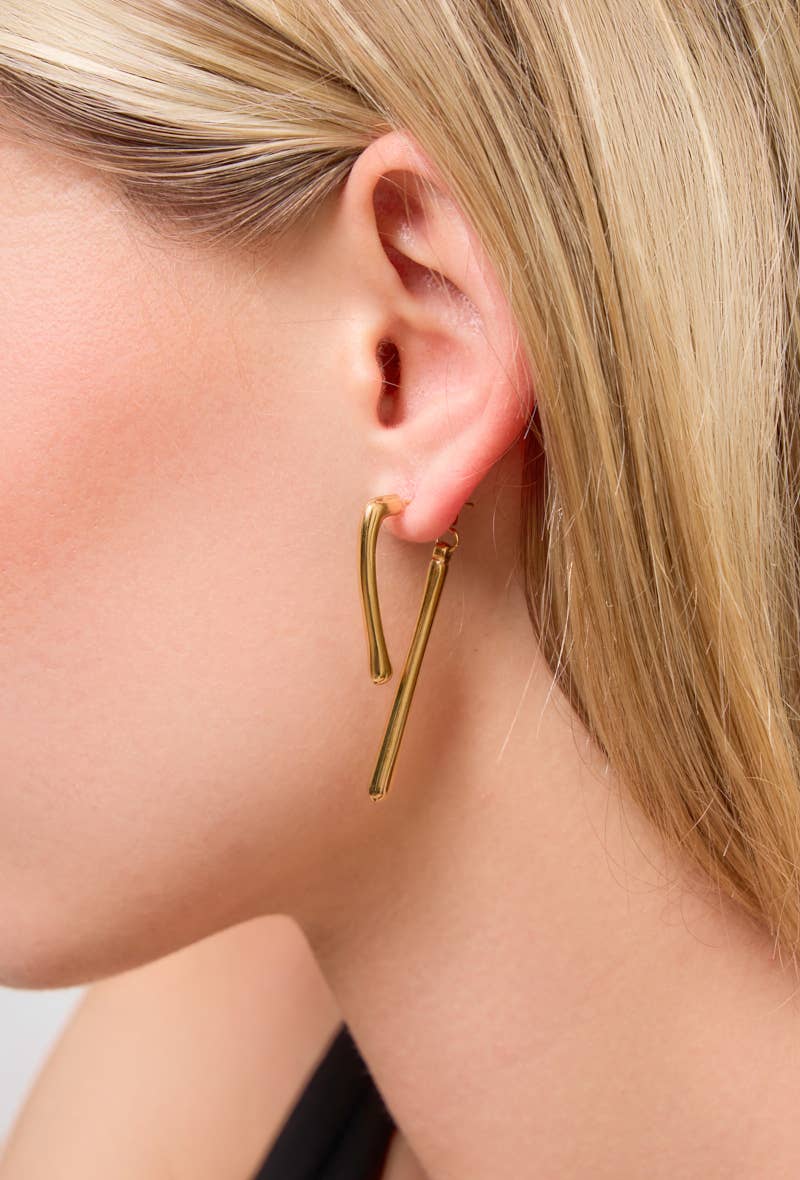 Brincos  em aço inox