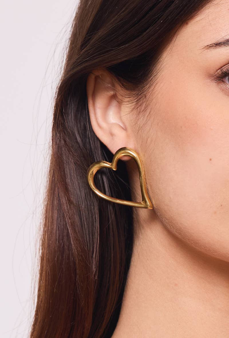 Brincos em aço inoxidável