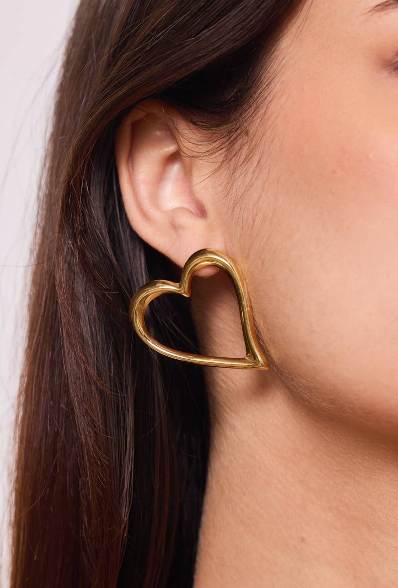 Brincos em aço inoxidável